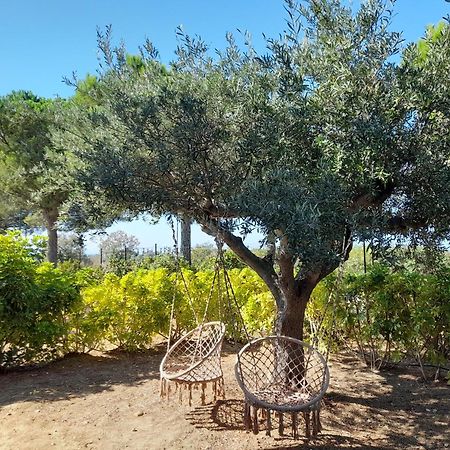 Locanda Degli Scrittori Agrigento Exteriér fotografie