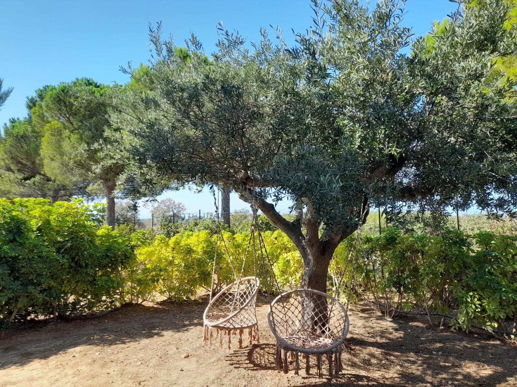 Locanda Degli Scrittori Agrigento Exteriér fotografie
